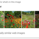 Image: Screenshot